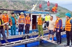 Quảng Ninh chủ động các phương án phòng, chống bão số 3 