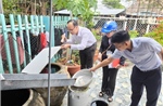 Can thiệp kịp thời, không để sốt xuất huyết lan rộng