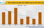 Từ &#39;ngôi vương&#39; xuất khẩu cao su, Thái Lan có nguy cơ hụt hơi trước Việt Nam?