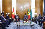 Senegal đề nghị Việt Nam sớm xem xét mở cơ quan đại diện ngoại giao tại Dakar