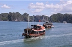Điểm nhấn thu hút du khách đến Cát Bà