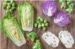 Nghiên cứu mới: Rau họ cải giúp giảm nguy cơ ung thư đại tràng