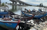 Chỉ đạo của Ban Bí thư về ứng phó với cơn bão số 5 (Kajiki)