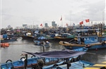 Ứng phó bão số 5: Chủ động di chuyển phương tiện tránh khỏi khu vực nguy hiểm