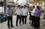 Tháo gỡ khó khăn cho doanh nghiệp sản xuất, kinh doanh lúa gạo 