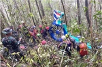 Indonesia: Tìm thấy tất cả 8 nạn nhân vụ rơi trực thăng ở Kalimantan