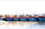 Chống khai thác IUU: Quyết liệt xử lý tàu cá &#39;3 không&#39;