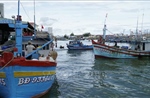 Khắc phục &#39;thẻ vàng&#39; IUU: Gia Lai cấm tàu cá không đủ các loại giấy tờ xuất bến