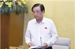 Quy định chi tiết tiêu chí khoanh định khu vực không đấu giá quyền khai thác khoáng sản
