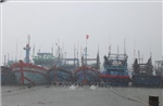 Đà Nẵng cho học sinh toàn thành phố nghỉ học để ứng phó bão số 12