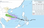 Bão số 13 giật cấp 17, cách Quy Nhơn khoảng 310 km