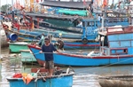 Khánh Hòa: Tàu thuyền khẩn trương vào bờ tránh trú bão số 13