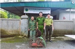 Người dân giao nộp cá thể khỉ mặt đỏ và khỉ mốc quý, hiếm