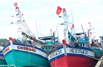 Vĩnh Long hoàn thành cấp phép hoạt động cho tàu cá đủ điều kiện