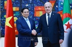 Truyền thông Algeria tiếp tục đưa tin đậm nét về hoạt động của Thủ tướng Phạm Minh Chính
