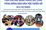 Tiêu chí xác định thôn, xã, tỉnh vùng đồng bào dân tộc thiểu số từ 1/12/2025