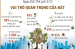Ngày Đất Thế giới 5/12: Vai trò quan trọng của đất