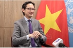 Việt Nam tiếp tục khẳng định vị thế, vai trò và bản sắc riêng tại Liên hợp quốc