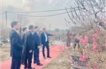 Lễ hội 'Đào Nhật Tân – Sắc xuân Hồng Hà': Tôn vinh giá trị làng nghề nổi tiếng đất Kinh kỳ