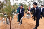 Hải Phòng, Quảng Ninh trồng cây mùa Xuân, nhớ ơn Bác Hồ