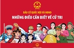 Bầu cử Quốc hội và HĐND: Những điều cần biết về cử tri
