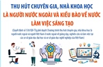 Thu hút chuyên gia, nhà khoa học là người nước ngoài và kiều bào về nước làm việc