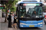 TP Hồ Chí Minh dự kiến miễn vé cho người dân trên 135 tuyến xe buýt