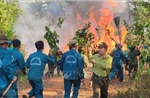 46 phường, xã nguy cơ cháy rừng cấp V, Đồng Nai khẩn trương ứng phó