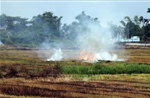 Ngăn chặn đốt rơm rạ sau thu hoạch lúa