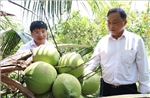 Liên kết '4 nhà' nâng tầm chuỗi giá trị dừa sáp