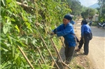 Thanh Hóa bổ sung 6,3 tỷ đồng hỗ trợ sản xuất nông nghiệp sau thiên tai