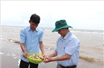 Nghề nuôi nghêu Vĩnh Long đối diện nguy cơ suy giảm hiệu quả