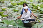 Nét văn hóa độc đáo của trà sen xứ Huế 