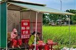 Hà Nội sẽ kiểm tra hoạt động môi giới tại khu tái định cư cầu vượt sông Hồng