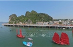 Người giữ 'hồn' cho cánh buồm di sản trên vịnh Hạ Long