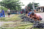 Độc đáo nghề dựng 'nhà' dưới biển đón mùa cá Nam