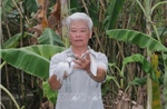 Lão nông hơn 3 thập kỷ trồng cây, mở rộng vườn cho chim về trú ngụ