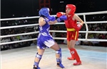 Khai mạc Đại hội Thể dục, Thể thao môn Kickboxing tỉnh Gia Lai
