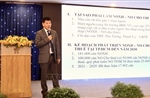 Gỡ nút thắt vốn và thủ tục cho nhà ở xã hội