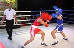 Gia Lai có tiềm năng lớn về bộ môn Boxing