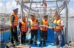 Nâng cao nhận thức tuân thủ pháp luật trong mỗi chuyến vươn khơi