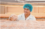 Phát huy vai trò tiên phong của thanh niên trong kỷ nguyên mới