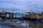 Ứng phó bão số 1: Mưa to và gió lớn khiến cây gãy đổ, trôi bè nuôi hải sản ở Quảng Ninh