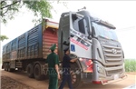 Xây dựng cửa khẩu số, tạo động lực phát triển kinh tế biên mậu