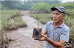 Người thương binh hơn 40 năm gieo màu xanh nơi đầu sóng