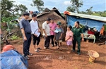 Dông lốc làm nhiều nhà dân tốc mái, cây trồng bị thiệt hại