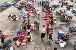 Nhịp sống sôi động tại cảng cá Cửa Nhượng