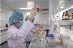 Tạo mạng lưới chuyên gia, nhà khoa học làm động lực phát triển mới