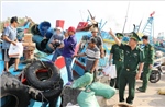 Phát huy vai trò của chính quyền cơ sở trong gỡ 'thẻ vàng' IUU