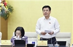 Thúc đẩy phát triển thị trường dịch vụ kế toán, kiểm toán hiệu quả và bền vững
